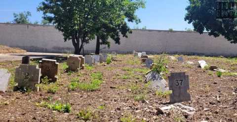 Il cimitero degli arti: dove mani e piedi amputati vengono sepolti in attesa della loro "ricongiunzione" 